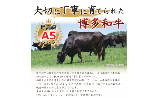 博多和牛サーロインステーキ　250g（250g×1枚）