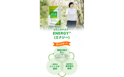 還元型コエンザイム Q10　 ENERGY（エナジー）180日分 30粒 6袋　＋　 ENERGY（エナジー）14粒入り1袋をお付けします　,  サプリメント　健康食品　ストレス緩和|株式会社カネカ高砂サービスセンター