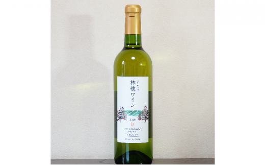 【信州産りんご】林檎ワイン（720ml×1本）[№5659-1364]