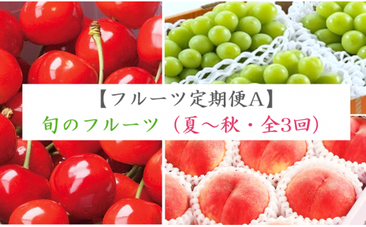 フルーツ定期便a 旬のフルーツ 夏 秋 全３回 白鷹町白鷹町 ふるさと納税 ふるさとチョイス