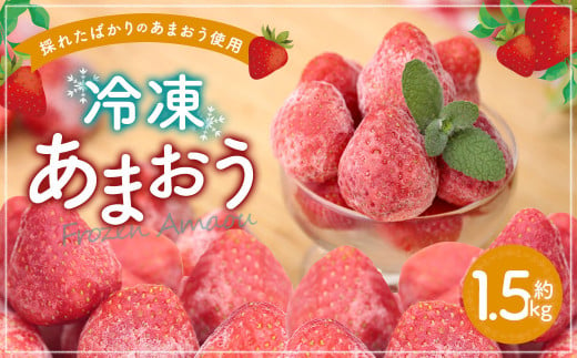 冷凍あまおう 約1.5kg あまおう 福岡県産 九州産 いちご 苺 イチゴ 果物 フルーツ スムージー ジャム