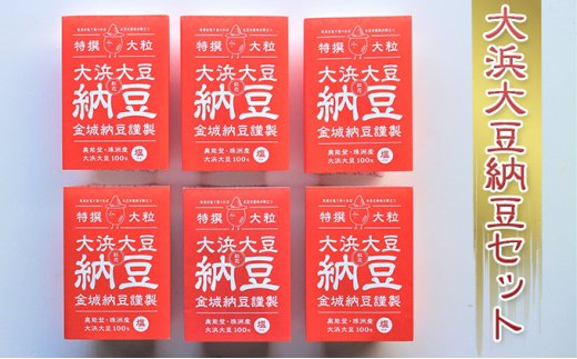 大浜大豆納豆セット