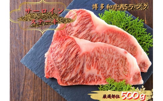 【B22-04】博多和牛サーロインステーキセット　500g（250g×2枚） 410771 - 福岡県大牟田市