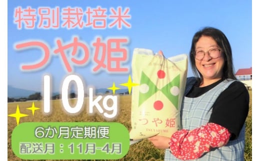 令和6年産[定期便11月-4月]小野寺農園のつや姫10kg×6回