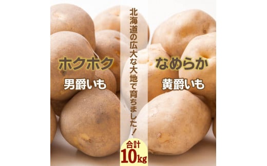 【予約：2023年10月上旬から順次発送】JAきたみらい「男爵いも・黄爵(とうや)いもセット」10kg ( 期間限定 野菜 セット 芋  )【005-0019-2023】