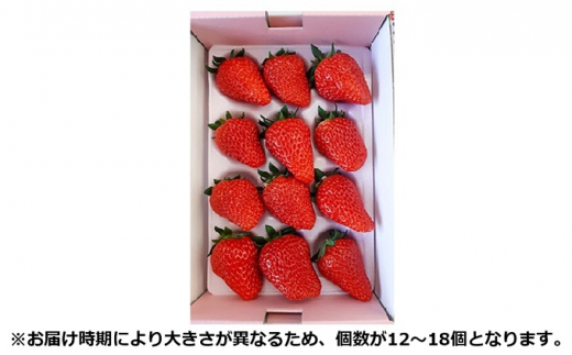 [№5311-0372]三原市産 朝積み完熟 紅ほっぺ 35g前後 12～18個入り【配達不可地域あり】