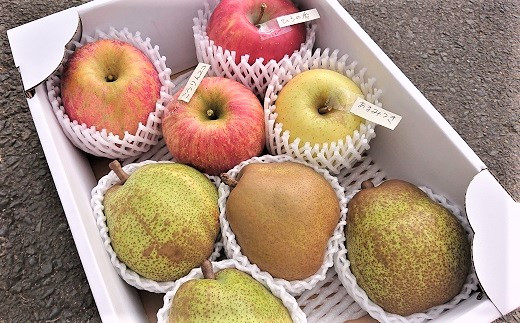 ラ・フランスとりんご２品種以上の詰合せ　３ｋｇ　ご家庭用　0075-2211