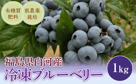 《先行予約》白河産冷凍ブルーベリー 1kg F21R-051 592430 - 福島県白河市