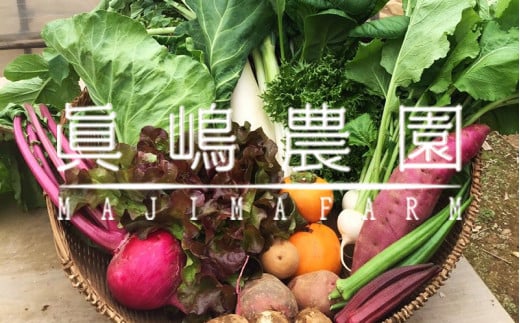 AE001 季節のおまかせ野菜セット 315255 - 千葉県松戸市