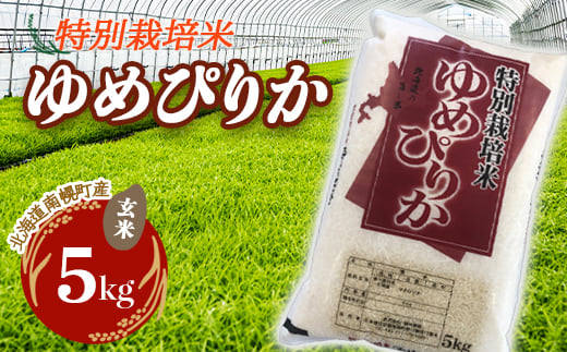 特別栽培米 ゆめぴりか(玄米)5kg 令和4年度米 2022年10月発送 NP1-049