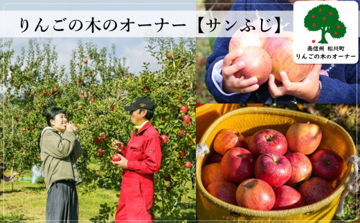 KO01-23A りんごの木のオーナー（サンふじ）【20kg限定】 　
