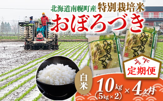 《定期便》特別栽培米 おぼろづき（白米）5kg×2袋×4ヵ月 令和6年産 今摺り米 NP1-414 262439 - 北海道南幌町