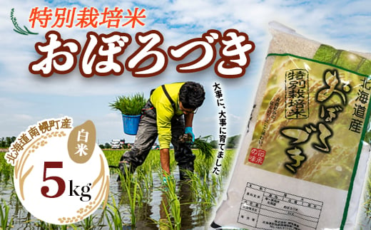 特別栽培米 おぼろづき（白米）5kg 令和5年産 2023年10月発送 今摺り米 NP1-246 239866 - 北海道南幌町