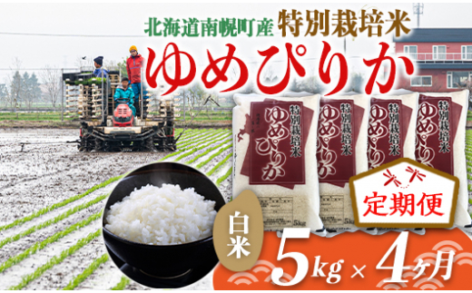 《定期便》特別栽培米 ゆめぴりか（白米）5kg×4ヵ月 NP1-066