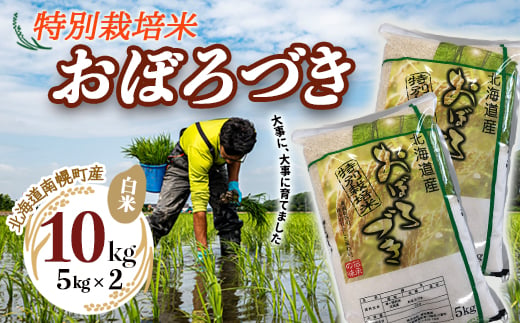 特別栽培米 おぼろづき（白米）5kg×2袋 令和5年産 2023年10月発送 今摺り米 NP1-409 239864 - 北海道南幌町