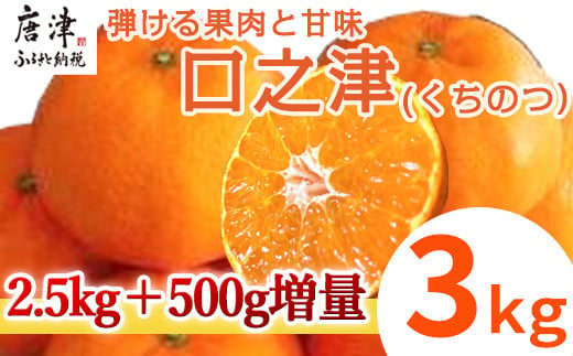 希少!! 予約受付 
日本で数件しか栽培されていない希少な品種の「口之津39号」
3kgお届けいたします。