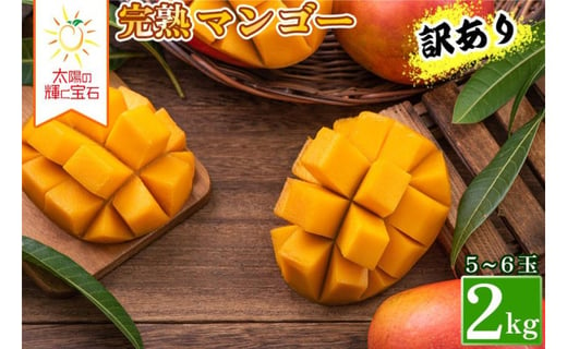 沖縄県 豊見城産 アップルマンゴー 2kg