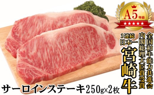 【宮崎牛】A5等級　サーロインステーキ　500g（250ｇ×2枚）＜3-43＞