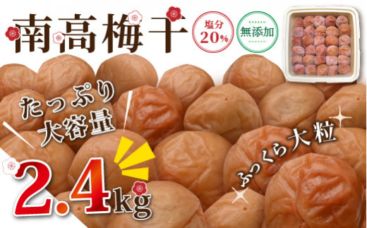 大粒無添加南高梅2.4キロ 梅干し 梅干 梅 無添加 大容量 大粒 2.4kg 完熟梅 