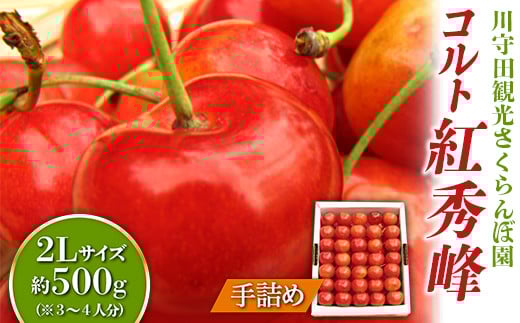 さくらんぼ 「コルト紅秀峰2Lサイズ」手詰め(約500g)※3~4人分 【川守田観光さくらんぼ園】 贈答 フルーツ王国 南部町 サクランボ 青森県産 F21U-289 695209 - 青森県南部町