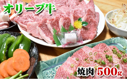 [発送月が選べる]香川県産黒毛和牛オリーブ牛焼肉 500g