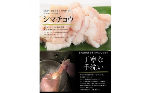 ホルモン 焼肉 シマ腸 中トロホルモン 西京味噌焼き 600g熨斗 贈答