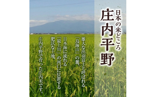 SA1914 令和5年産【精米】特別栽培米 ミルキークイーン 10kg(5kg×2袋