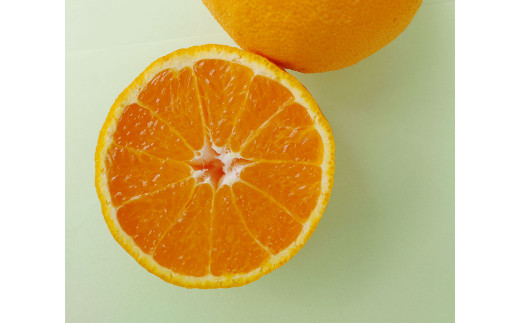 【訳あり】長崎県 時津町産 不知火 約5kg 柑橘 フルーツ