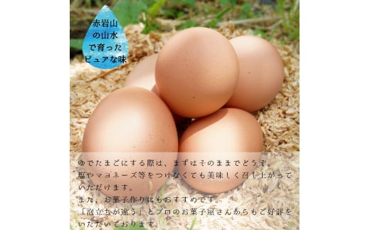 卵卵卵さま専用  ナイトクルーズ