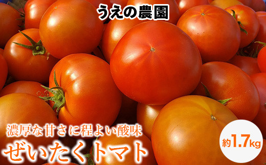 ぜいたくトマト 約1.7kg 451596 - 栃木県上三川町