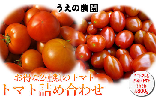 うえの農園トマト詰め合わせセット ぜいたくトマト ミニトマト 451597 - 栃木県上三川町