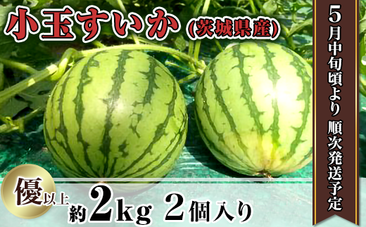 12-6茨城県産小玉すいか約2kg（2個）