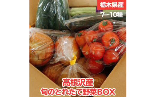高根沢産旬の野菜BOX 462815 - 栃木県高根沢町