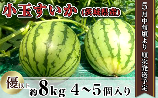 12-4茨城県産小玉すいか約8kg（4～5個）