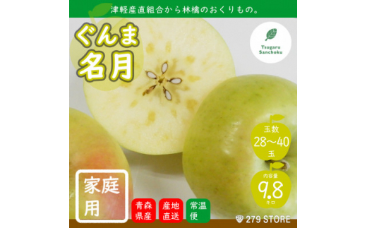 10月下旬頃発送 ぐんま名月 家庭用 10キロ箱 9.8kg 28～40玉 津軽りんご 産地直送【1290170】 410745 - 青森県青森市