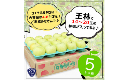 りんご 王林 4月から順次発送! A品 4.8kg (14～20玉) CA貯蔵 津軽産直組合直送【1289752】