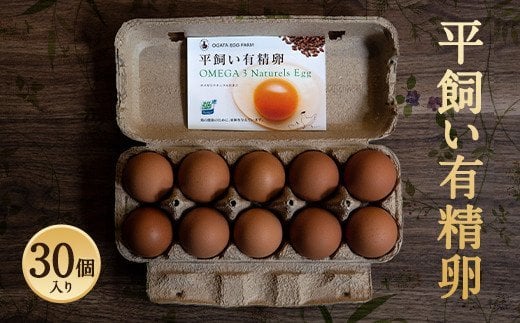 平飼い 有精卵 30個入 たまご 卵 799796 - 熊本県合志市