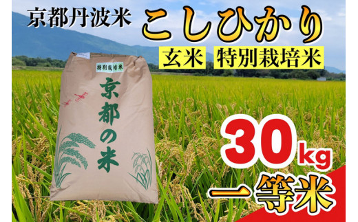 京都府亀岡市の最高評価『特A獲得』実績のある京都丹波産コシヒカリ