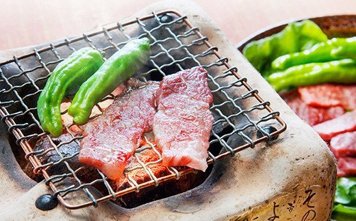 肥後のあか牛 焼肉用 500g 熊本県産 和牛 お肉 牛肉 カット