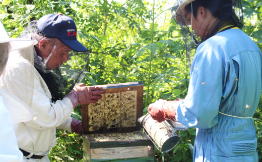 立山 養蜂場 国産 百花 蜂蜜 300g はちみつ