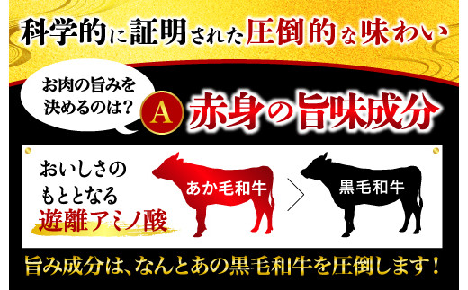 【熊本県産】 あか牛 を堪能できる ステーキ と ハンバーグ セット モモステーキ