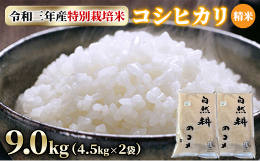 令和三年産特別栽培米コシヒカリ9.0kg（4.5kg×2袋）精米[№5722-0551]