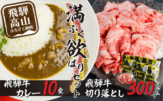 飛騨牛カレー（160ｇ×10袋）と飛騨牛切り落とし300ｇ レトルトカレー