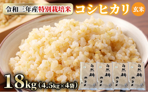 令和三年産特別栽培米コシヒカリ18kg（4.5kg×4袋）玄米[№5722-0556]