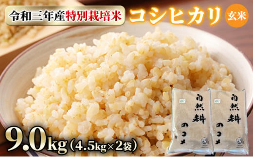 令和三年産特別栽培米コシヒカリ9.0kg（4.5kg×2袋）玄米[№5722-0552]