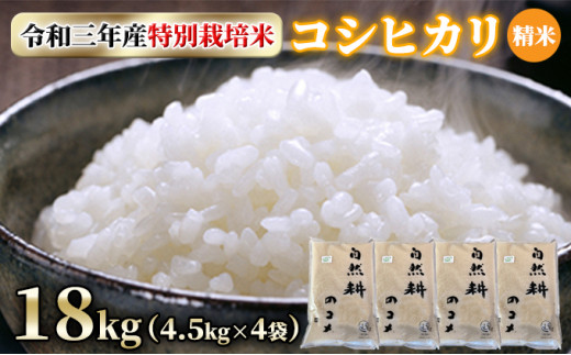 令和三年産特別栽培米コシヒカリ18kg（4.5kg×4袋）精米[№5722-0555]