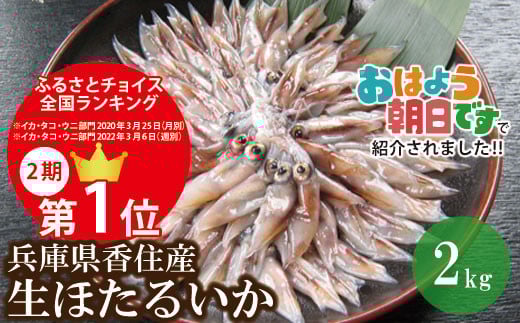 【訳あり ほたるいか 小分け 250g×8パック 2kg 冷凍商品】今が旬の美味しいホタルイカをぜひ。兵庫県はホタルイカ水揚げ日本一! 発送目安:入金確認後1ヶ月以内 ホタルイカ いか イカ 生ほたるいか 便利 冷凍 兵庫県 香住産 香住 日本海 家飲み 珍味 海鮮 刺身 刺し身 生食 しゃぶしゃぶ 醤油漬け お取り寄せ グルメ ギフト 食べ物 日本海フーズ にしとも かに市場 07-02