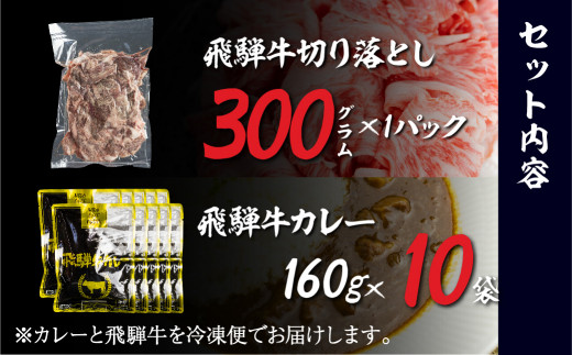 飛騨牛カレー レトルト 110個 セット