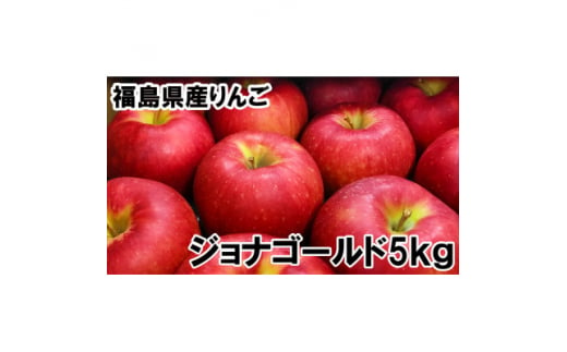 福島県のりんご　ジョナゴールド5kg(16～22玉)　ギフト・贈答用【1293238】