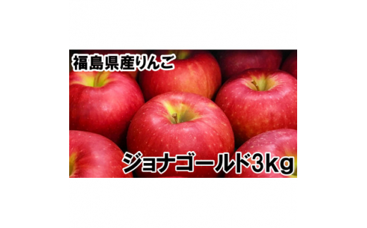 福島県のりんご　ジョナゴールド3kg(8～12玉)　ギフト・贈答用【1293237】